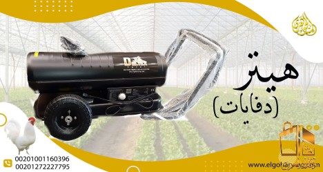 الهيتر الصيني